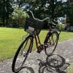 Pilen damcykel 28 tum – 3 växlar – korg – nyservad - Bild 2